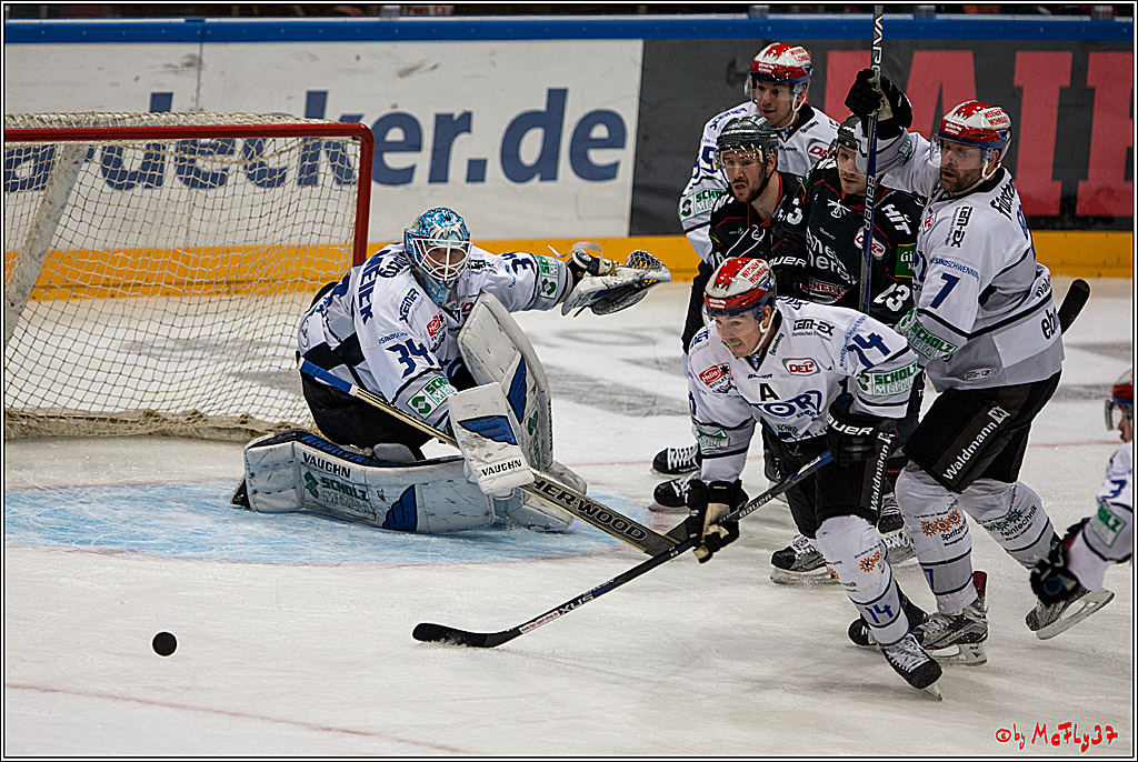 Koelner Haie - Schwenninger Wild Wings, 11.12.2016